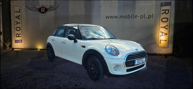 mini